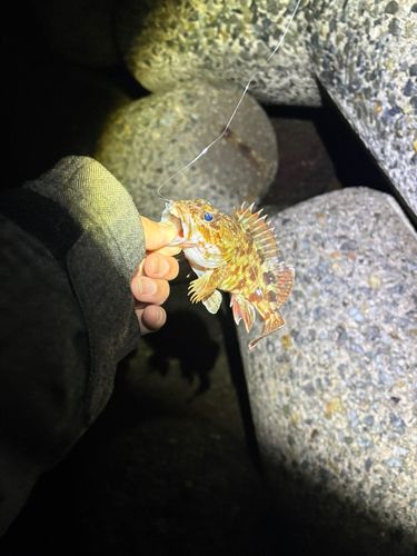 忠岡木材コンビナート