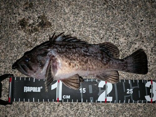 三陸海岸（岩手）