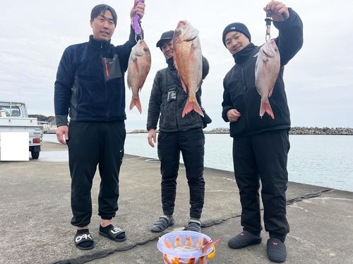 マダイの釣果