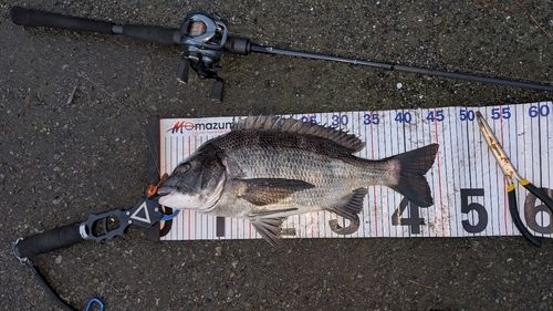 東京湾（アクアライン〜富津）