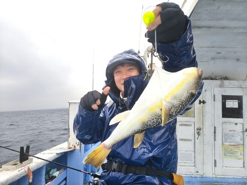 ショウサイフグの釣果