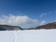 ワカサギの釣果