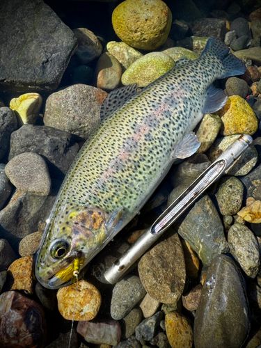 月見ヶ原フィッシングセンター