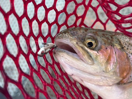 東山湖フィッシングエリア