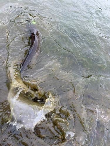 北宮城フィッシングエリア