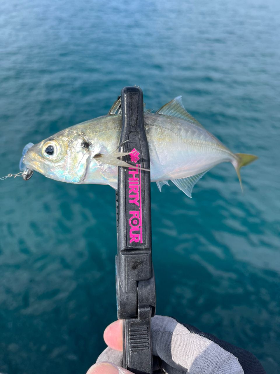 34 アドバンスメント HSR-63 Version3の最安値・インプレ・釣果 | 本音