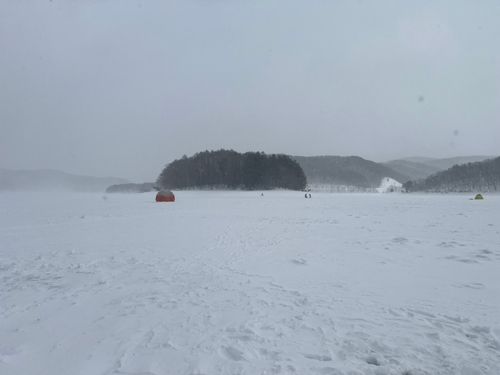 ワカサギの釣果