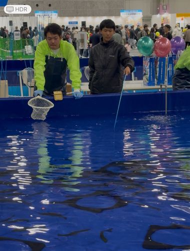 木津川（大阪）