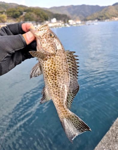 野見潮ばかり公園