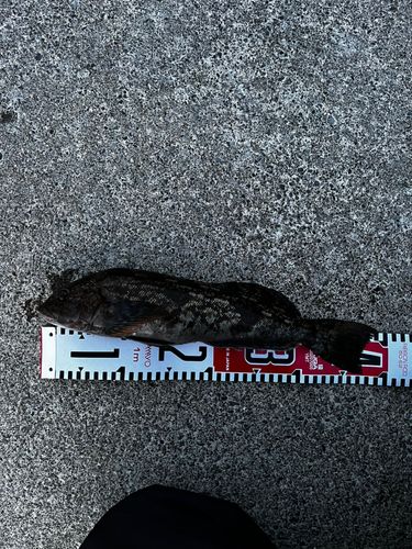 三陸海岸（岩手）