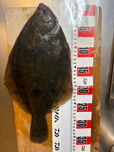 若洲海浜公園海釣り施設