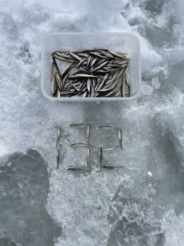 大沼（北海道）