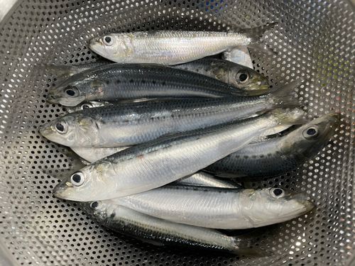 用宗広野海岸公園