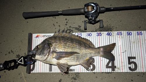 東京湾（アクアライン〜富津）