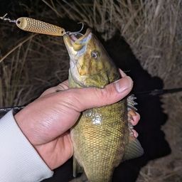 スモールマウスバス