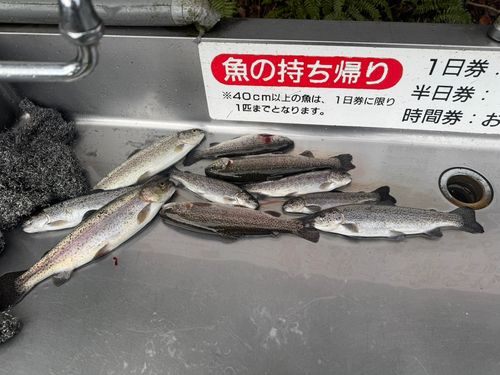 フィッシングサンクチュアリ