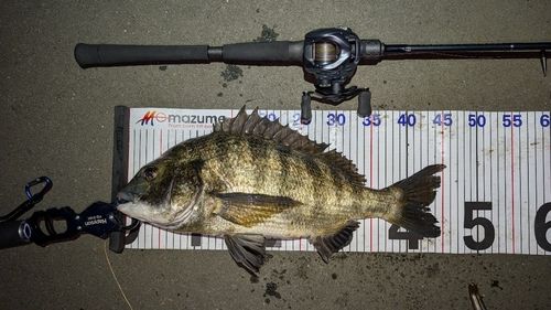 東京湾（アクアライン〜富津）