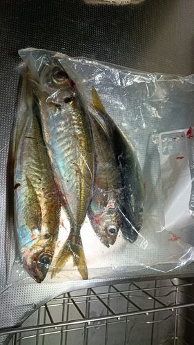 小名浜港アクアマリンふくしま周辺