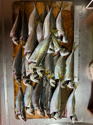 本牧海づり施設