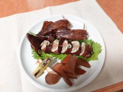 ヤリイカの釣果