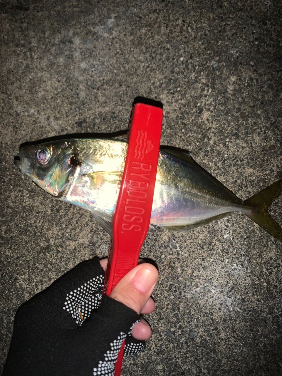 MajorCraft 鯵道 5G AD5-S622L/AJIの最安値・インプレ・釣果 | 本音の