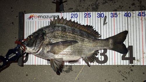 東京湾（アクアライン〜富津）