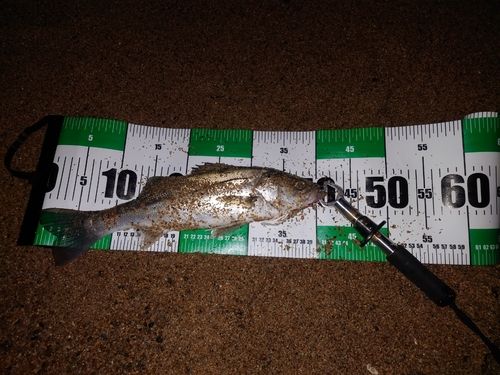 新舞子海岸（いわき）