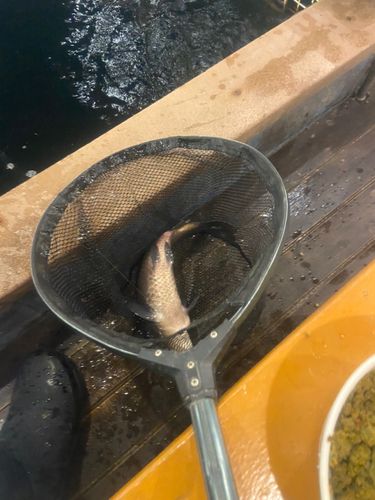 アミューズパーク郡山