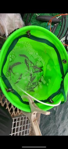 とっとパーク小島