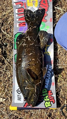 海老名運動公園