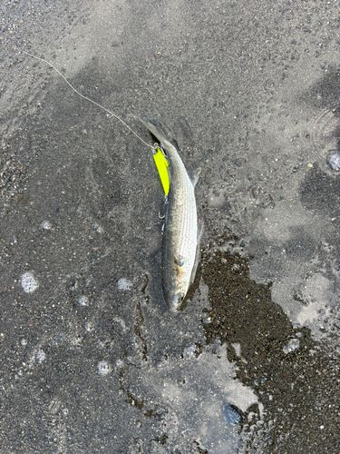 辻堂海浜公園前