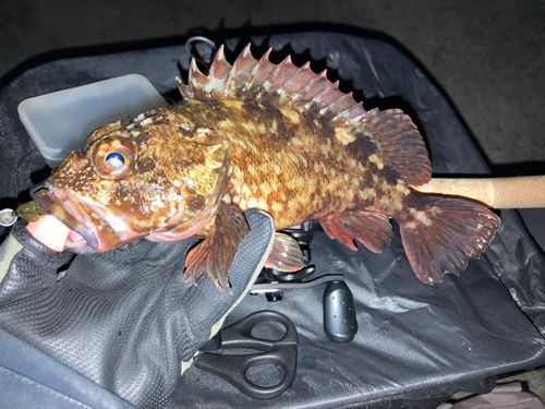 東京湾（アクアライン〜富津）