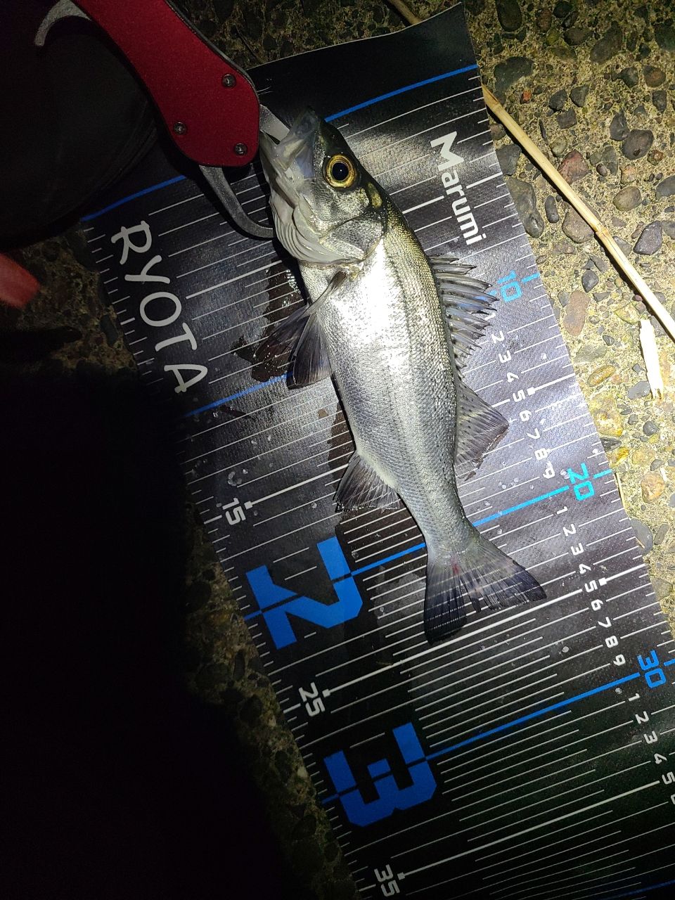 SHIMANO 21ソアレXR S64UL+-Sの最安値・インプレ・釣果 | 本音の口コミ