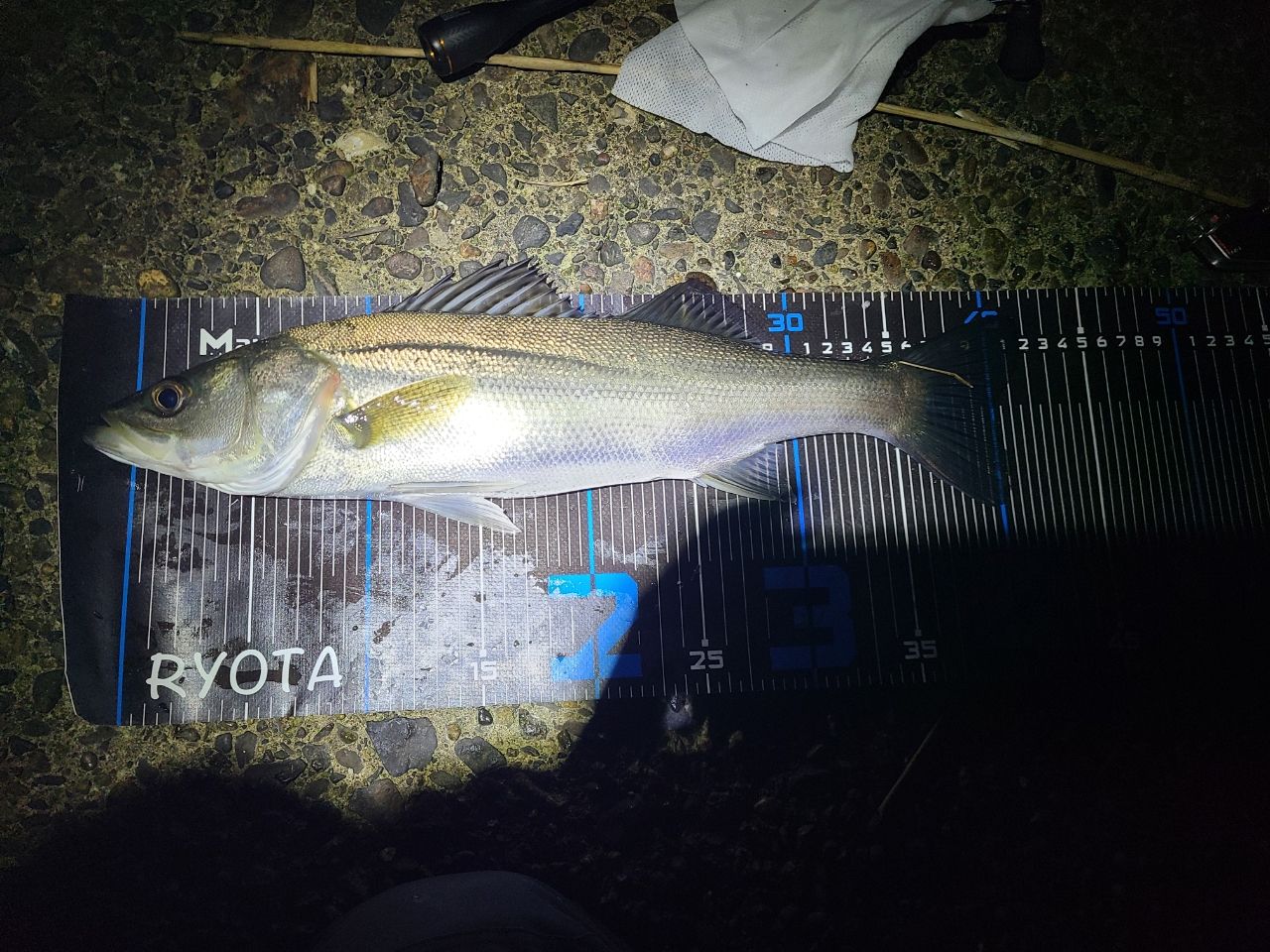 SHIMANO 21ソアレXR S64UL+-Sの最安値・インプレ・釣果 | 本音の口コミ