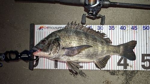 東京湾（アクアライン〜富津）