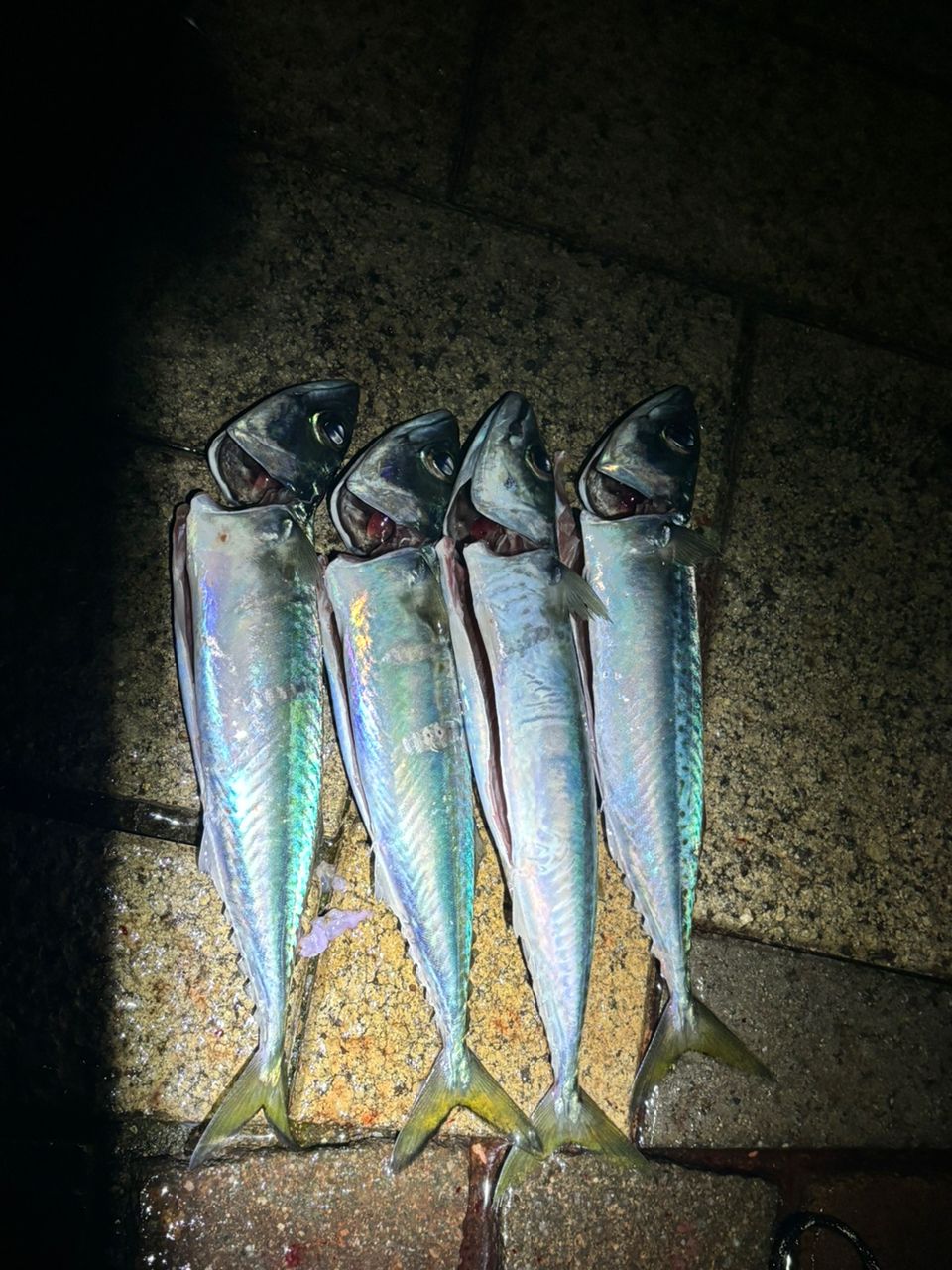 OLYMPIC 23コルト UX 23GCORUS-572UL-HSの最安値・インプレ・釣果