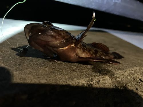 金沢水際線緑地（福浦岸壁）