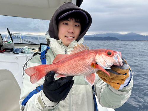 アカムツの釣果