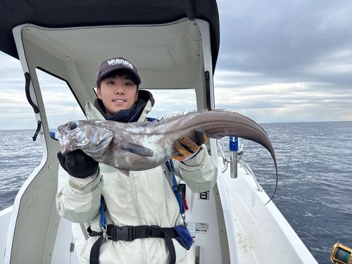 ムネダラの釣果