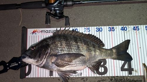 東京湾（アクアライン〜富津）