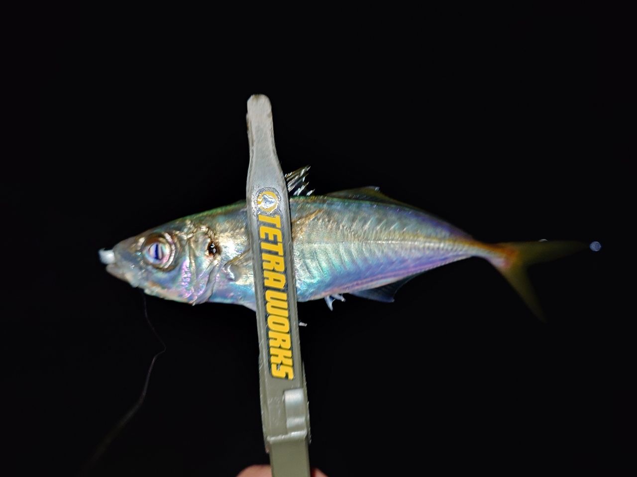 SHIMANO 21ソアレXR S58UL-Sの最安値・インプレ・釣果 | 本音の口コミ