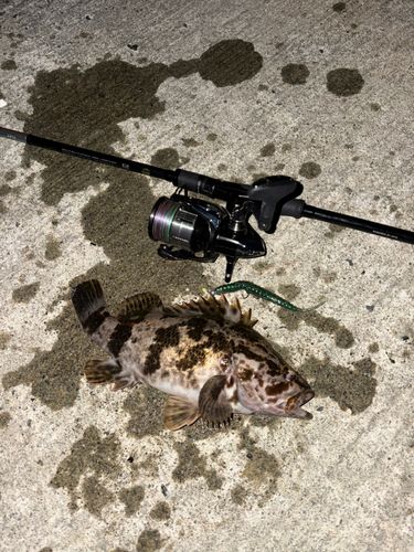 三陸海岸（岩手）