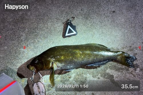 三陸海岸（青森）