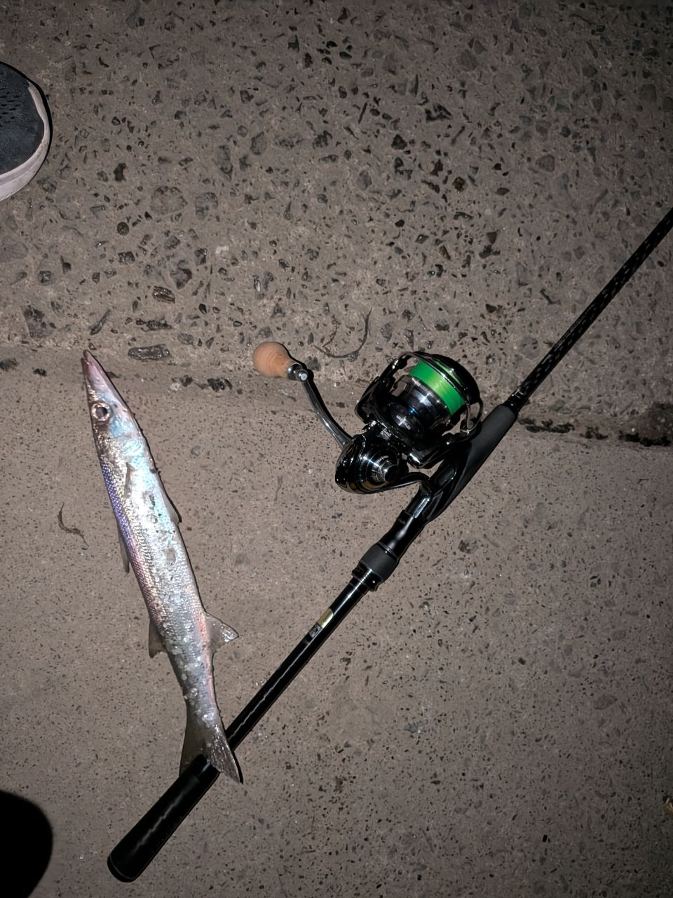 DAIWA 18イグジスト LT4000-CXHの最安値・インプレ・釣果 | 本音の