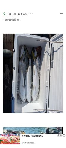 ワラサの釣果
