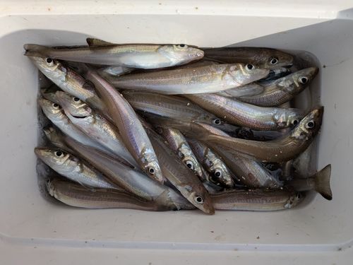 関門海峡（山口）