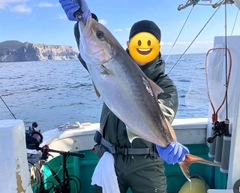 カンパチの釣果
