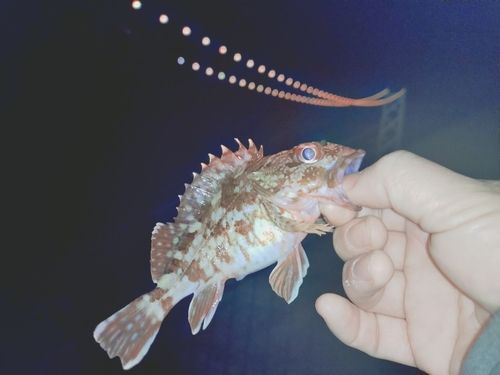 アジュール舞子