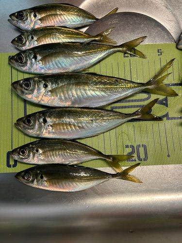 小名浜港市場前