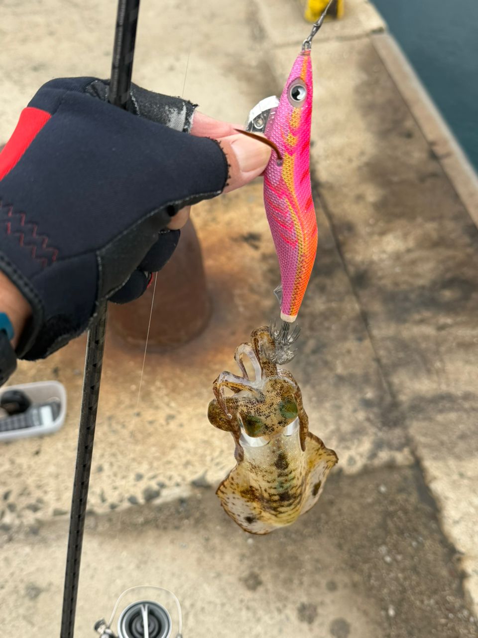 SHIMANO 22ステラ C3000SDHHGの最安値・インプレ・釣果 | 本音の口コミ